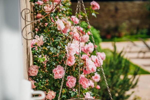 Château Nantes - LOIRE-ATLANTIQUE
