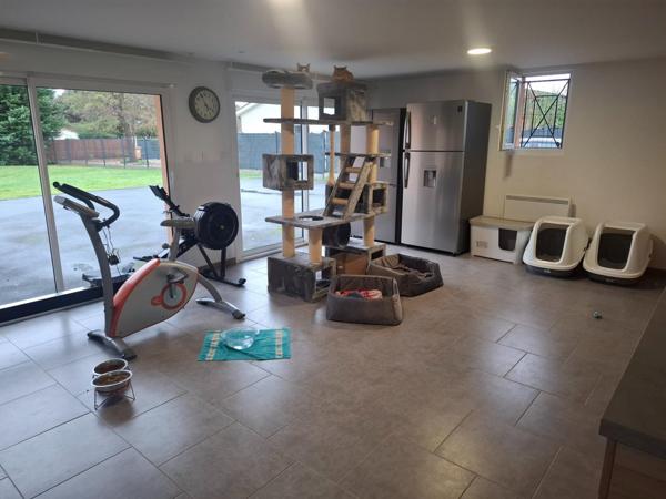 Belle maison de 188 m2 idéal pour famille ou activité libéral le plus une annexe de 70 m2 un terrain en partie constructible a voir rapidement.