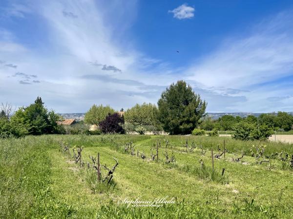 Mérindol (84360) Mas de caractère sur une belle parcelle arborée de 10.000m²