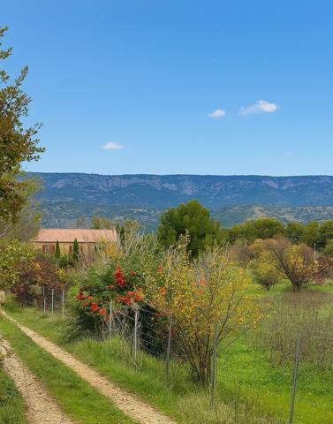 Mérindol (84360) Mas de caractère sur une belle parcelle arborée de 10.000m²