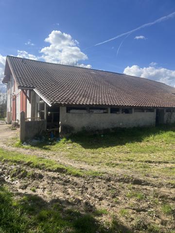 Bayonne (64100) AUTHENTIQUE FERME