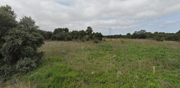 Terrain à vendre |  Baillargues |  5184 m²