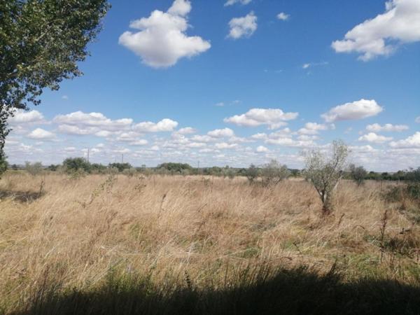 Terrain agricole avec dépôt bâti –