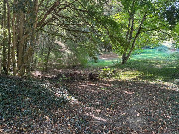 Maison à vendre 5 pièces SAINT PRIVE (89) avec grand terrain arboré de 3 889 m² – Calme et nature