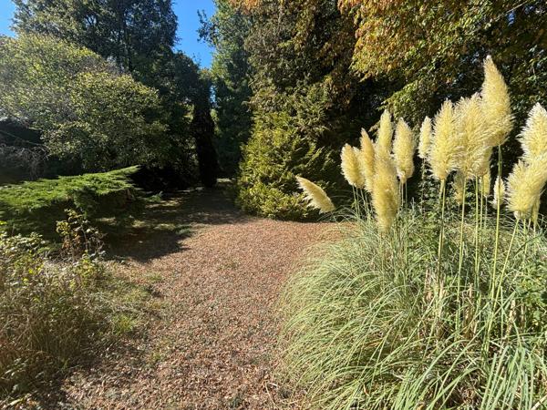 Maison à vendre 5 pièces SAINT PRIVE (89) avec grand terrain arboré de 3 889 m² – Calme et nature