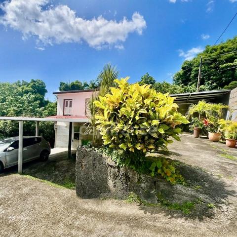 Ensemble immobilier à vendre au MORNE-VERT (972)