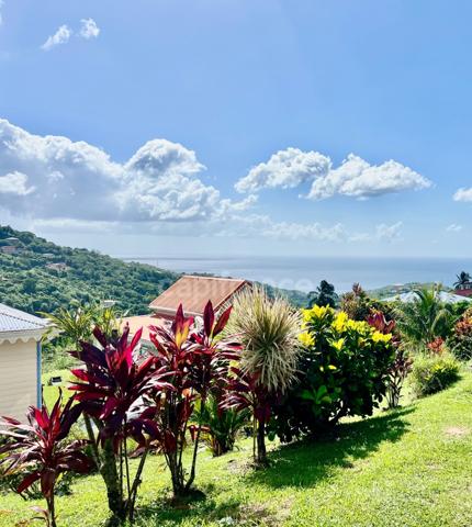 Ensemble immobilier à vendre au MORNE-VERT (972)