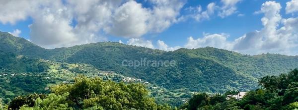 Ensemble immobilier à vendre au MORNE-VERT (972)