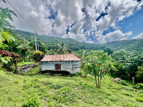 Ensemble immobilier à vendre au MORNE-VERT (972)