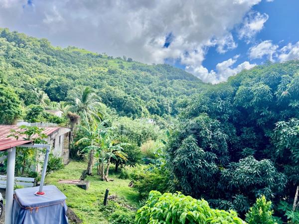 Ensemble immobilier à vendre au MORNE-VERT (972)