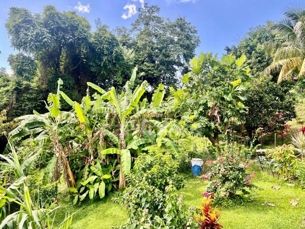 Ensemble immobilier à vendre au MORNE-VERT (972)