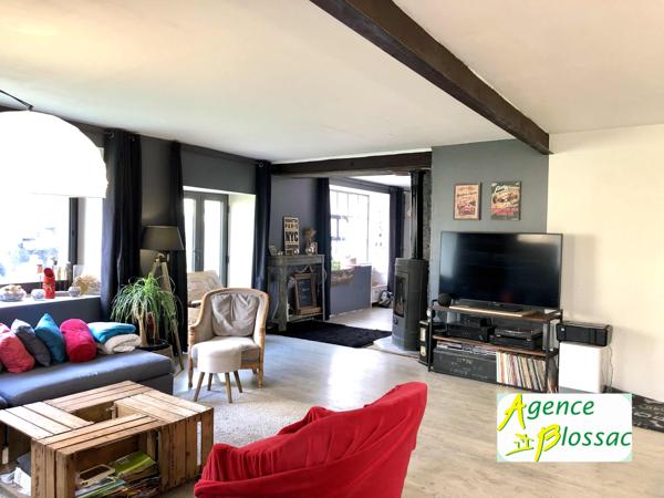 PROPRIETE SINGULIERE DE  325 M2 HABITABLES // 30 MN POITIERS/CHATELLERAULT
