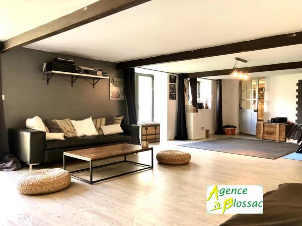 PROPRIETE SINGULIERE DE  325 M2 HABITABLES // 30 MN POITIERS/CHATELLERAULT
