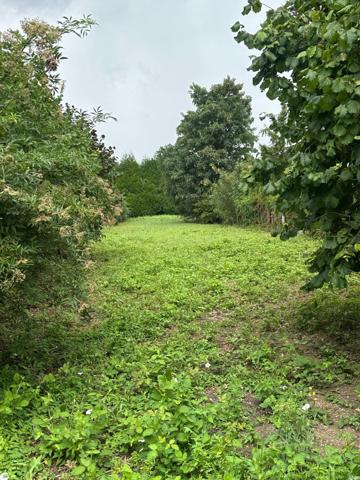 IMMEUBLE MIXTE COMPRENANT LOCAL COMMERCIAL + ANCIEN FOURNIL + APPARTEMENT + HANGAR + TERRAIN