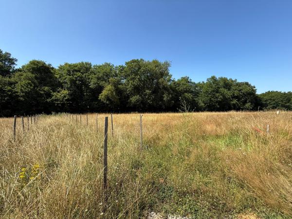 Magnifique lotissement entouré d' arbres
