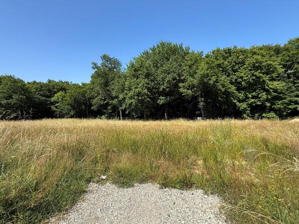 Magnifique lotissement entouré d' arbres