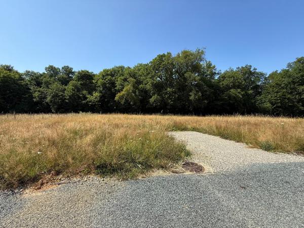 Magnifique lotissement entouré d' arbres