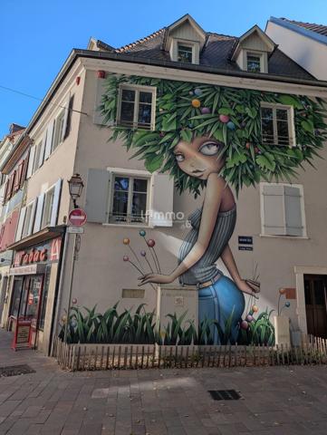 Mulhouse - local commercial dans emplacement stratégique