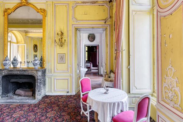 Vente Château Auneau 56 Pièces 5000 m²