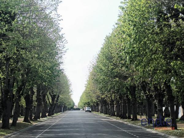 MAISON EN PIERRES DE PAYS AVEC QUATRE CHAMBRES ET JARDINET