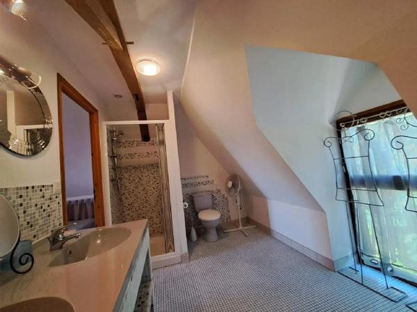 Achat - Propriété Livré-la-Touche 53400 11 pièces 320 m 2 21400 m 2