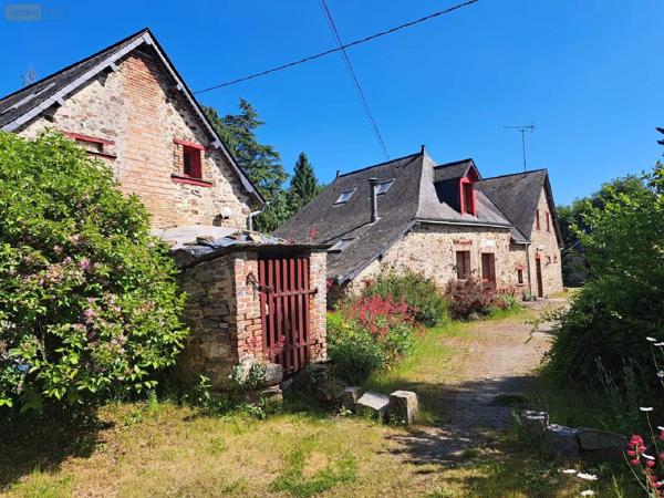 Achat - Propriété Livré-la-Touche 53400 11 pièces 320 m 2 21400 m 2