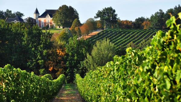 Ancienne seigneurie et son vignoble