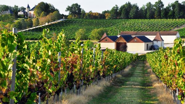Ancienne seigneurie et son vignoble