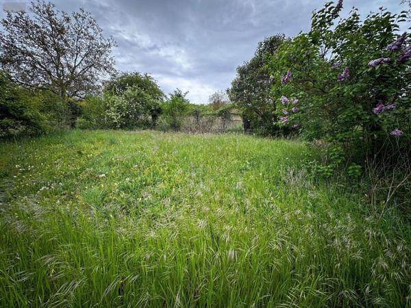 Maison individuelle à vendre à Saint-Martin-du-Tertre dans l'Yonne (89100), ref : 89062-4