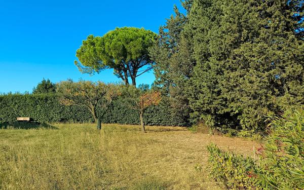 Terrain à vendre    Meynes