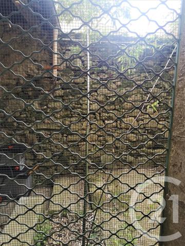 Maison à vendre  4 pièces - 75 m2 LA REOLE - 33