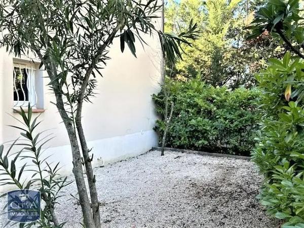 Appartement à louer 1 pièce 32.74m²