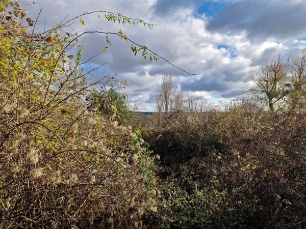 Maison à restaurer à vendre à Corbeil-Essonnes dans l'Essonne (91100), ref : 77004-2