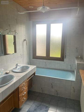 Maison à vendre à Aulnoye-Aymeries dans le Nord (59620), ref :