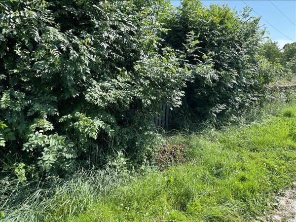 Terrain à vendre |  Saint-Jean-d'Angély |  555 m²