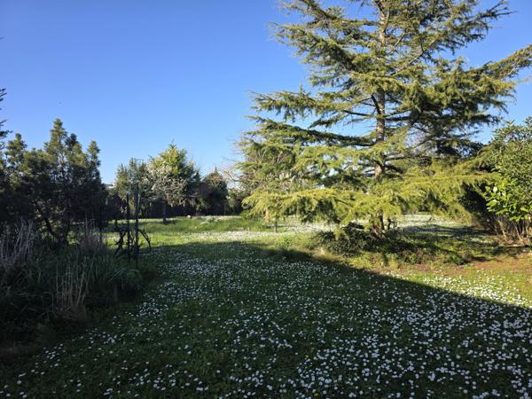 Terrain constructible à viabiliser