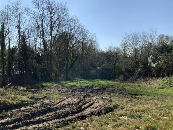 Achat vente Terrain constructible Concarneau
