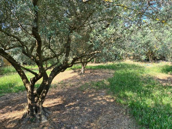 Terrain à MANOSQUE, 04100 - 2335m²