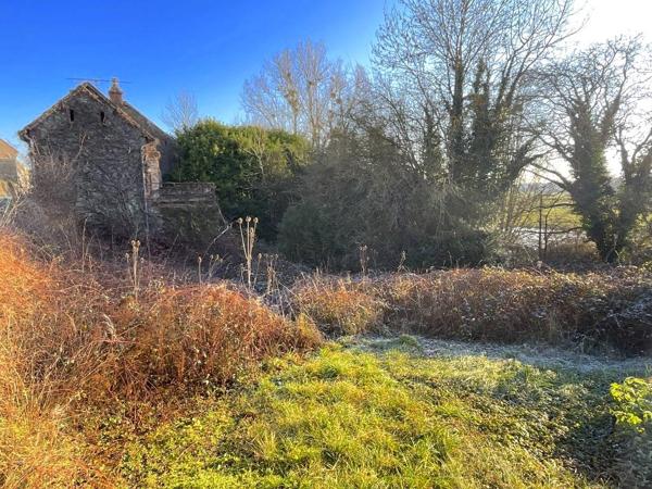 Vente / Programme neuf maison