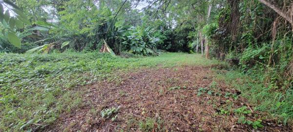 Petit-Bourg (97170) Terrain constructible 15721m²