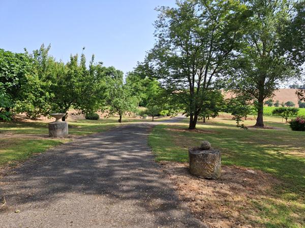 Maison avec presque un hectare de terrain