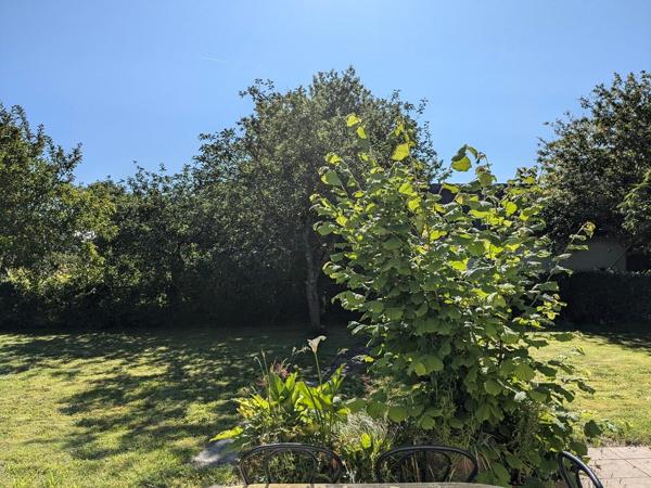 44410 HERBIGNAC - Maison A VENDRE - 2 chambres ( possibilité de 3)  - véranda - Garage- terrain 1290 m2