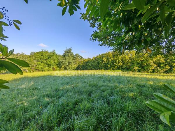Terrain constructible de 1 650,00 m² situé à EAUZE (32)