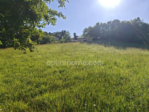 Terrain constructible de 1 650,00 m² situé à EAUZE (32)