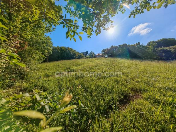 Terrain constructible de 1 650,00 m² situé à EAUZE (32)
