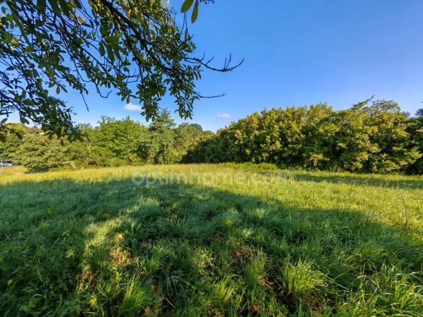 Terrain constructible de 1 650,00 m² situé à EAUZE (32)