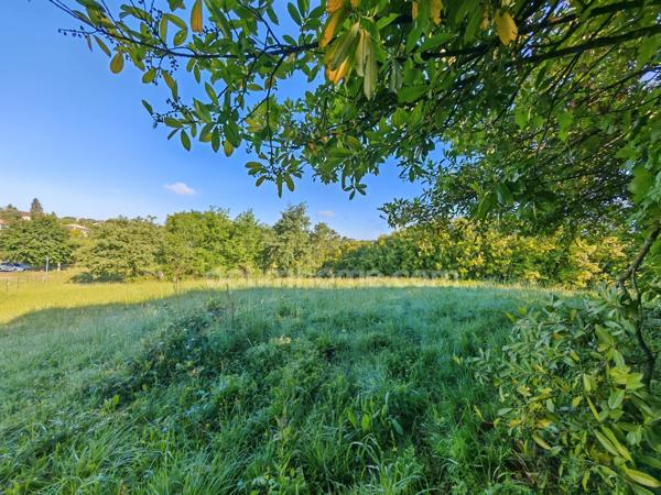 Terrain constructible de 1 650,00 m² situé à EAUZE (32)