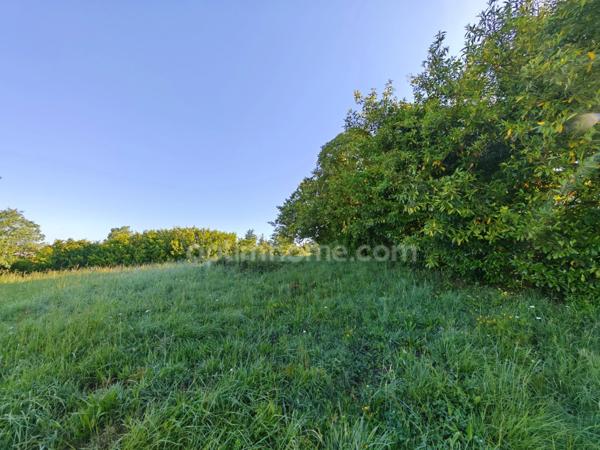 Terrain constructible de 1 650,00 m² situé à EAUZE (32)
