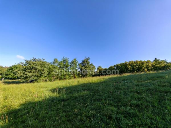 Terrain constructible de 1 650,00 m² situé à EAUZE (32)