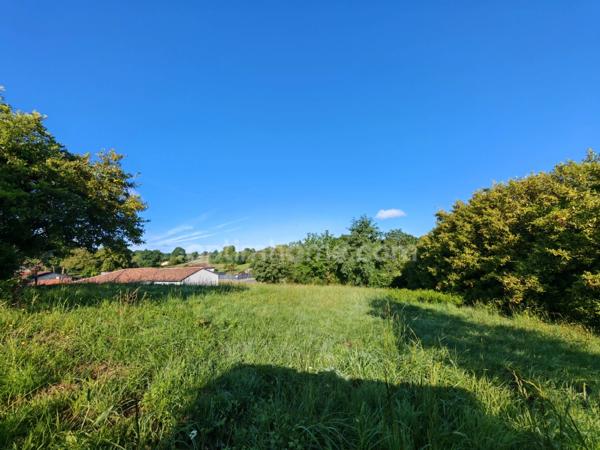 Terrain constructible de 1 650,00 m² situé à EAUZE (32)